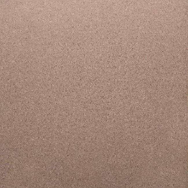 Noisette Gloss